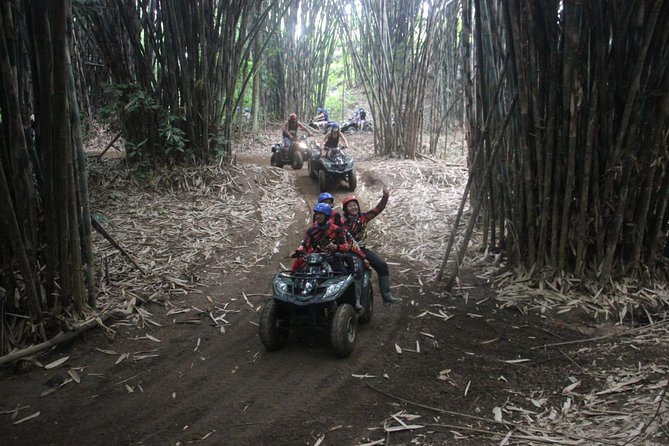 Bali All Inclusive : Tlaga Singha Infinity Pool & Atv Adventure - Tlaga Singha: two hours beside the river