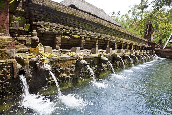 Bali All-Inclusive: Ubud Tour with Entrance Ticket and Lunch Included - Who will enjoy this Ubud tour most
