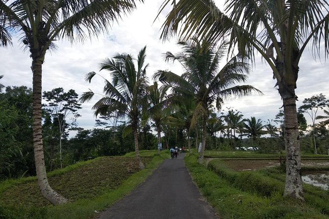 Bali Amazing Cycling Tour - The 8:30 a.m. pickup from Ubud