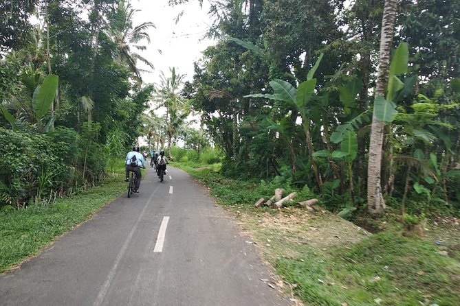 Bali Amazing Cycling Tour - Rice terraces, coffee processing, and the Mount Batur view