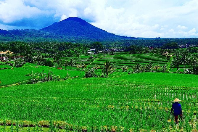 Bali Ancient Temples Tour - Taman Ayun and the old Mengwi kingdom