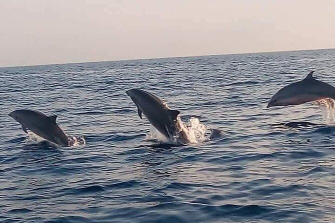 Bali and Lovina with Sunrise Dolphin Tour and Snorkeling - Key points to know before you book