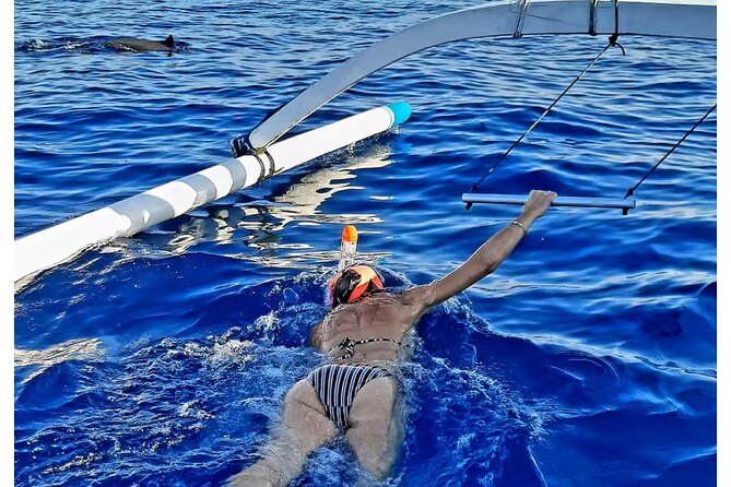 Bali and Lovina with Sunrise Dolphin Tour and Snorkeling - Dolphin watching without a guaranteed show