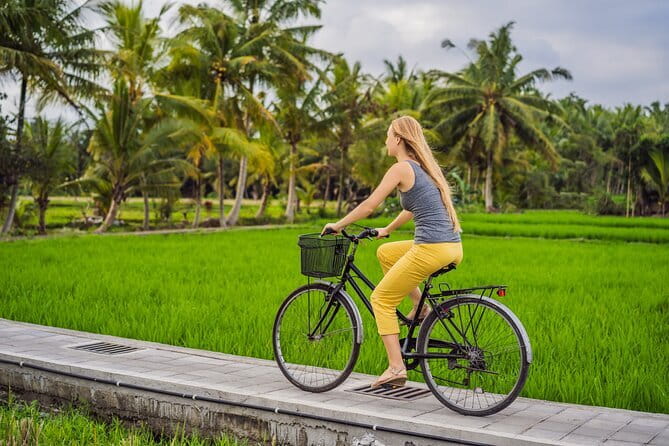 Bali ATV Bike Cave and waterfall with hotel Pick Up And Lunch - The cave section adds a welcome change