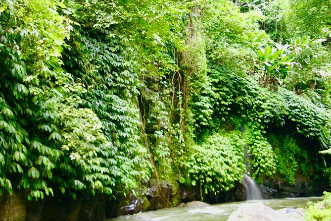 Bali ATV Quad Bike & Ayung River Rafting Combo with Lunch - Who will enjoy this most?