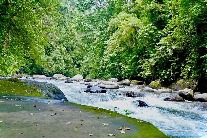 Bali ATV Quad Bike & Ayung River Rafting Combo with Lunch - Timing, transfers, and group size