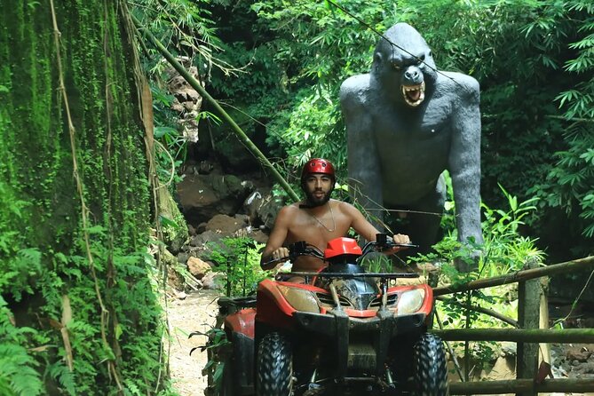 Bali ATV Quad Bike with Ubud Day Tour All Inclusive - Tegalalang Rice Terrace and the green views