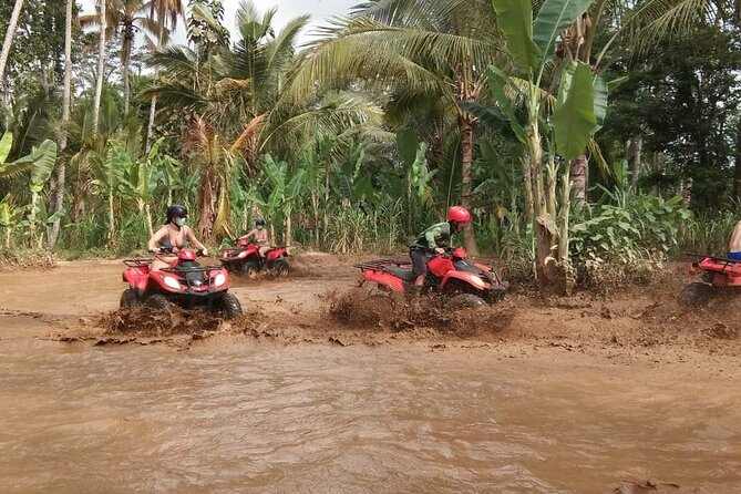 Bali ATV Quadbike Through Gorilla Face Cave - Lunch, showers, and the value of the $90.81 price