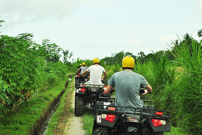 Bali ATV Ride - Quad Biking Adventure - How the $30 price measures up