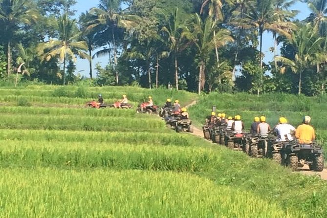Bali ATV Ride Ubud Jungle Track - Getting ready for the 2 to 3 hour ride