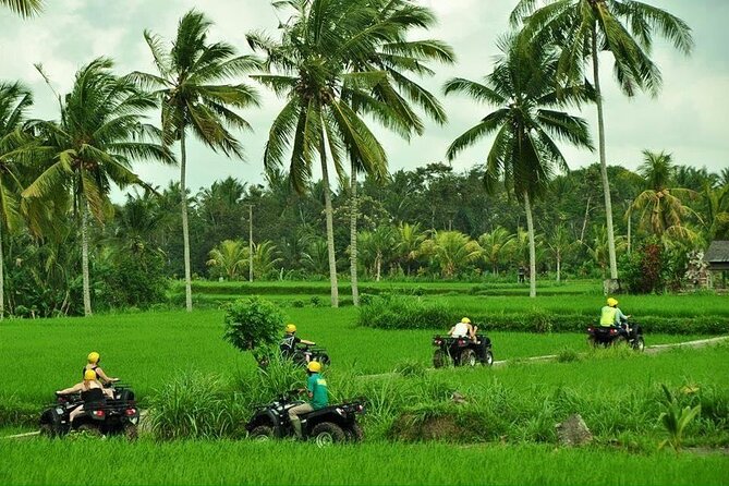 Bali ATV Ride waterfall jungle and rice fild track ubud - A two-hour ATV route through Bali’s rural side