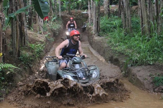 Bali ATV Ride with Jungle Swing and Rice Terrace Tour - d’Alas Swing above the rice paddies