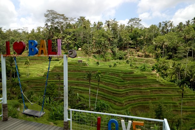 Bali ATV Ride with Jungle Swing and Rice Terrace Tour - Private transport makes a long day easier