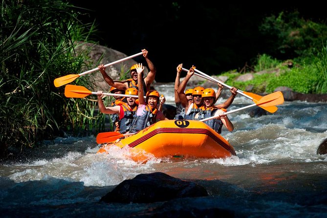 Bali Ayung River White Water Rafting with Transport - Key points at a glance