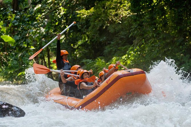 Bali Ayung River White Water Rafting with Transport - Who should book this river trip