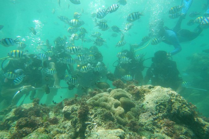 Bali Beaches Hopping - Uluwatu Temple - Padang Padang: small, photogenic, and often crowded