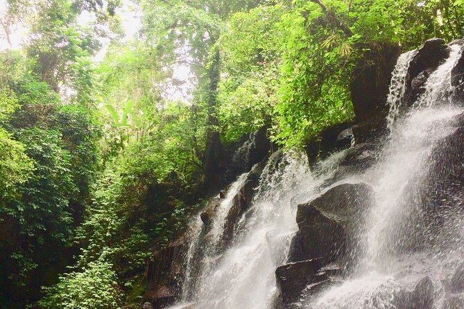 Bali best waterfall - What the $35 price really covers