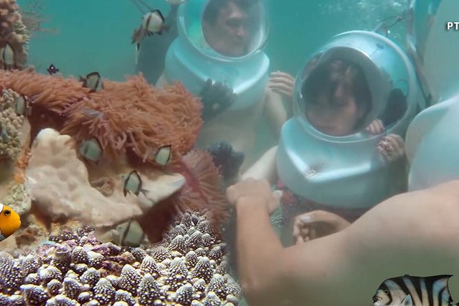 Bali Best Watersport Sea walker,Parasailing adventure,Jet sky - What the Beach Stop Is Like