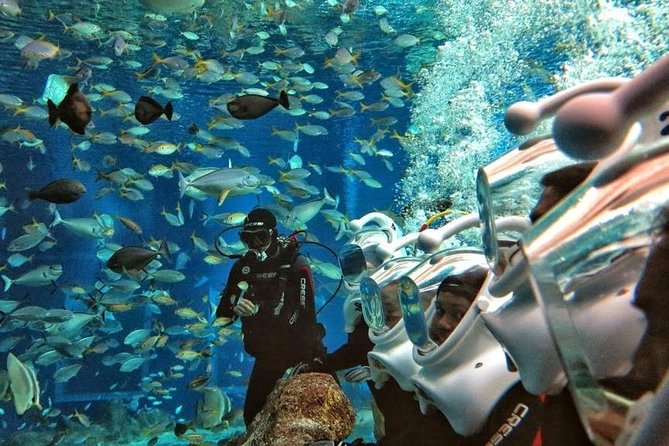 Bali Best Watersport Sea walker,Parasailing adventure,Jet sky - Jet Ski: Fifteen Minutes of Speed