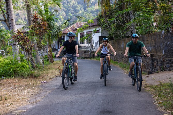 Bali Bike Tour Ubud Area - At a glance: what makes this ride worthwhile