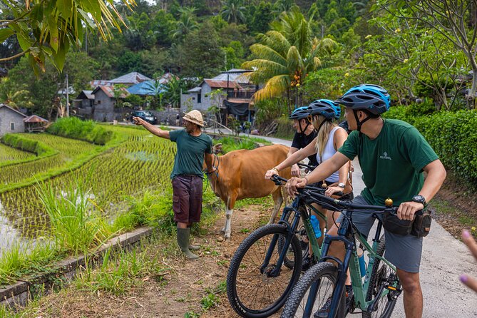 Bali Bike Tour Ubud Area - What the $67.28 price covers