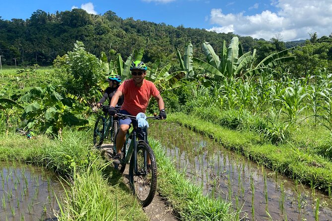Bali Bike Tour Ubud Area - Petang: a scenic start above the rice fields