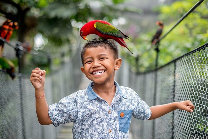 Bali Bird Park Admission Ticket - A three-hour visit through Bali Bird Park