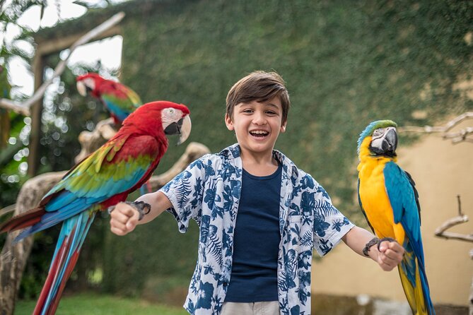 Bali Bird Park Admission Ticket - Feeding sessions and close bird encounters