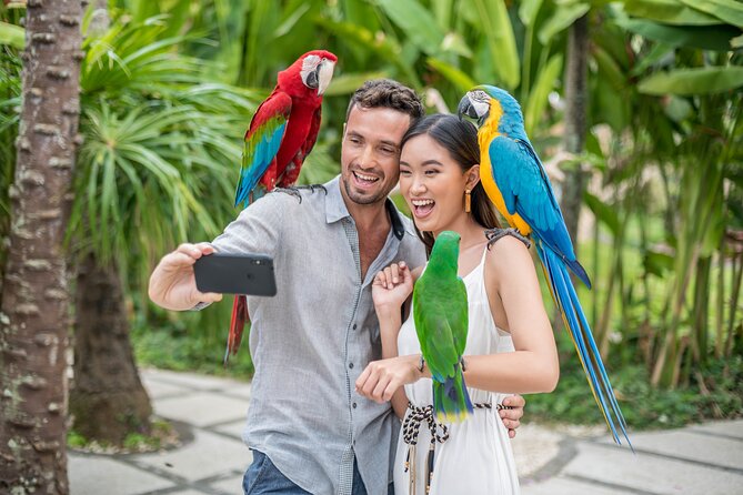 Bali Bird Park Admission Ticket - Tropical gardens, walk-in aviaries, and free-roaming birds