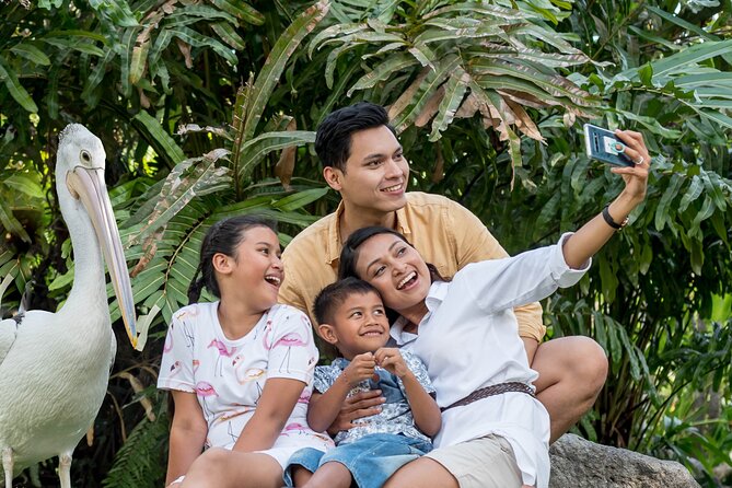 Bali Bird Park Admission Ticket - How the $18.82 price works for families
