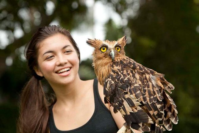 Bali Bird Park Admission Ticket with Hotel Transfer - A relaxed way to reach Bali Bird Park