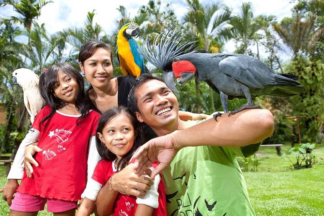 Bali Bird Park Admission Ticket with Hotel Transfer - Why the shows are worth planning around