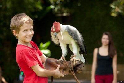 Bali Bird Park Admission Ticket with Hotel Transfer