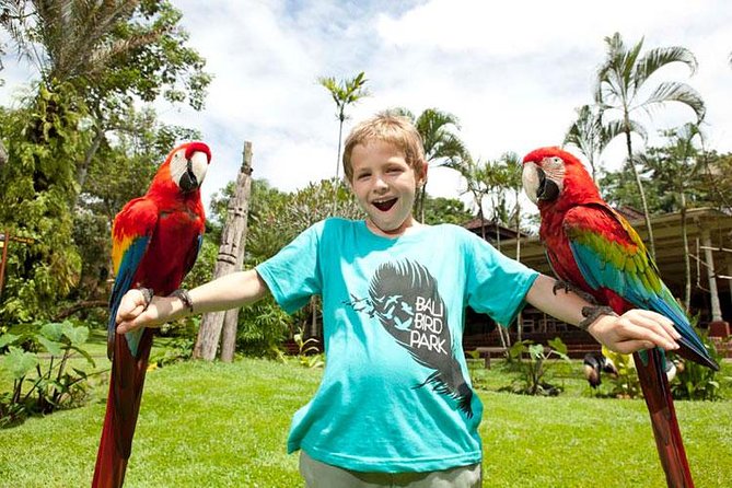 Bali Bird Park Admission Ticket with Hotel Transfer - How long should you stay?