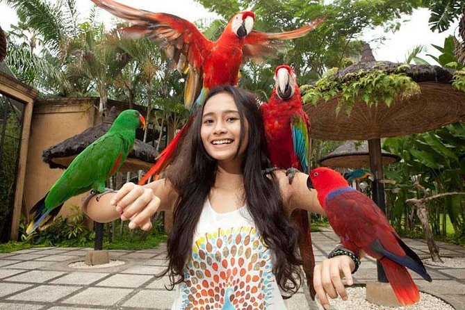 Bali Bird Park Admission Ticket with Hotel Transfer - What the $38 price really covers
