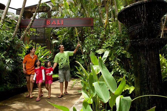 Bali Bird Park Admission Ticket with Hotel Transfer - Getting the most from your visit