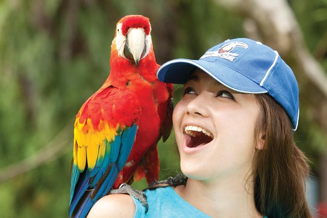 Bali Bird Park Admission Ticket - Free-flight shows at 10:30 a.m. and 4 p.m.