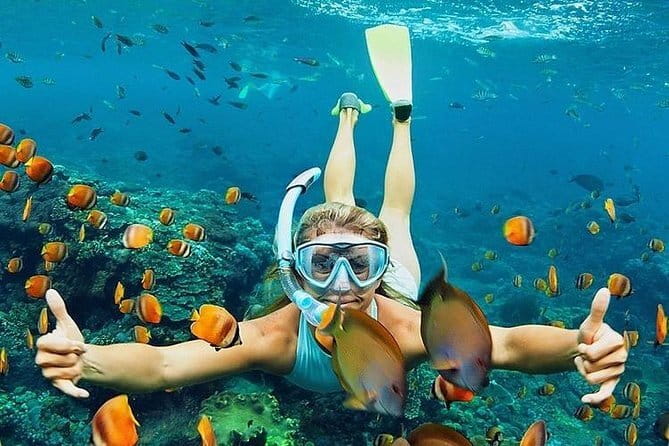 Bali : Blue Lagoon Snorkeling combine with Bali Swing in Ubud - What a private tour changes