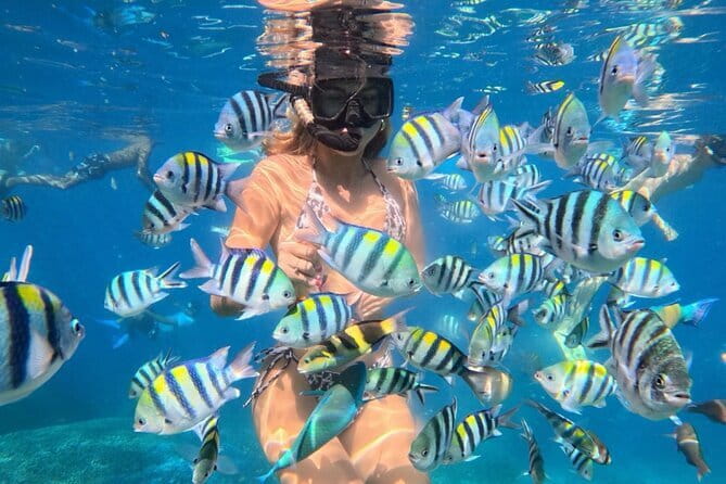 Bali : Blue Lagoon Snorkeling combine with Bali Swing in Ubud - Is $70 a fair price?
