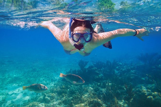Bali Blue Lagoon Snorkeling Experience - Who should book this snorkeling trip