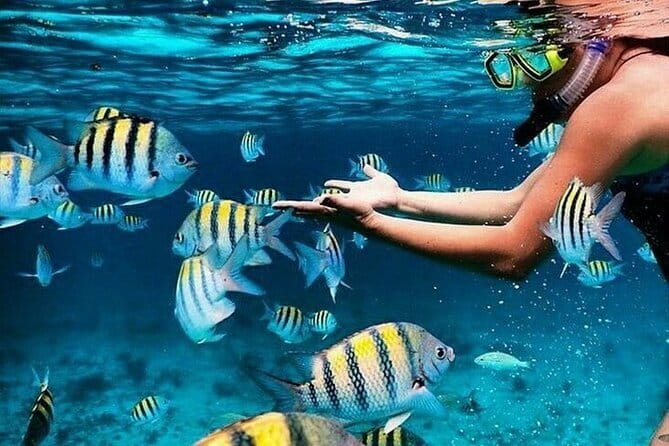 Bali Blue Lagoon Snorkeling with Waterfalls Tour - all included - Key things to know before booking