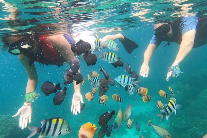 Bali Blue Lagoon Snorkeling with Waterfalls Tour - all included - Taman Sari Waterfall and its natural pool