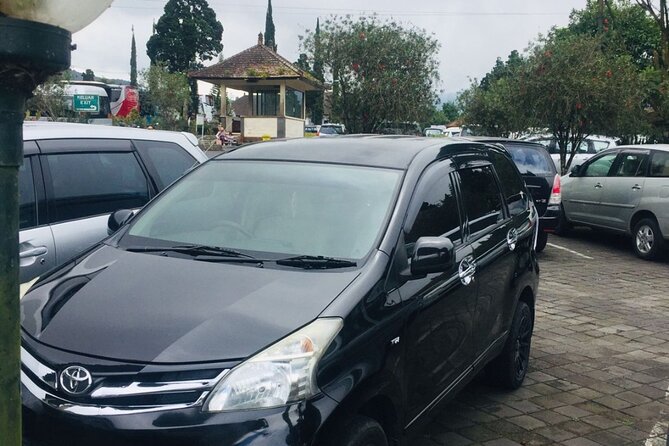 Bali Car Hire with Driver - Who should book this private driver