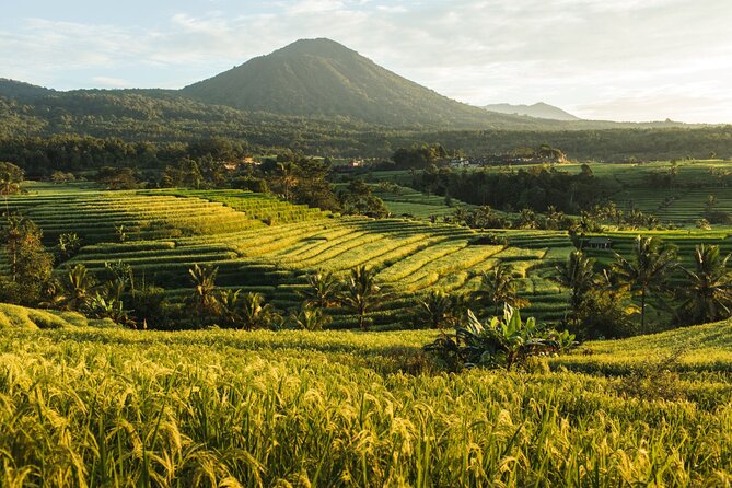 Bali Charm: Full-Day Bedugul and Tanah Lot Tour (UNESCO) - All Inclusive Tickets - Tanah Lot: the dramatic coastal finish