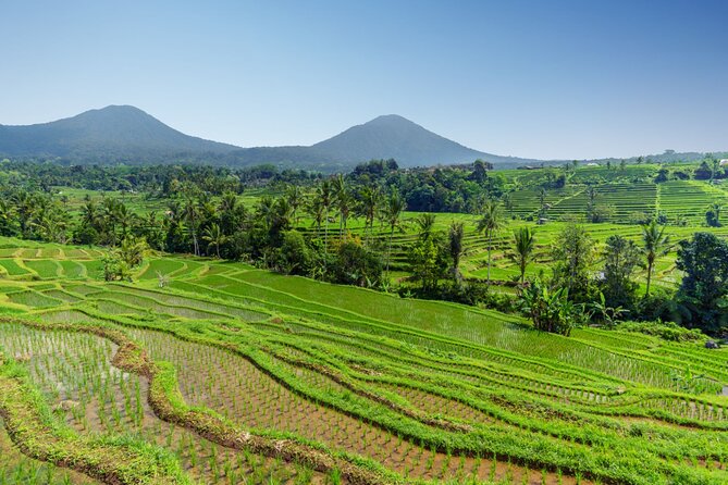 Bali Charm: Full-Day Bedugul and Tanah Lot Tour (UNESCO) - All Inclusive Tickets - What the $56.54 price really covers