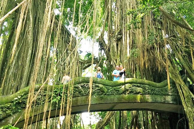 Bali Cooking Class and Ubud Sightseeing Tour - What the private format really adds