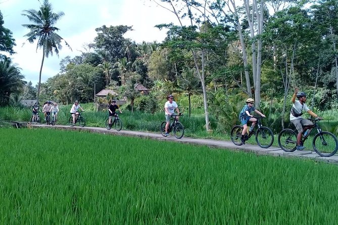 Bali Countryside Cycling Adventure - Beginning the ride near Bangli