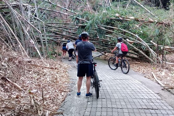 Bali Countryside Cycling Adventure - Lunch and the ride back
