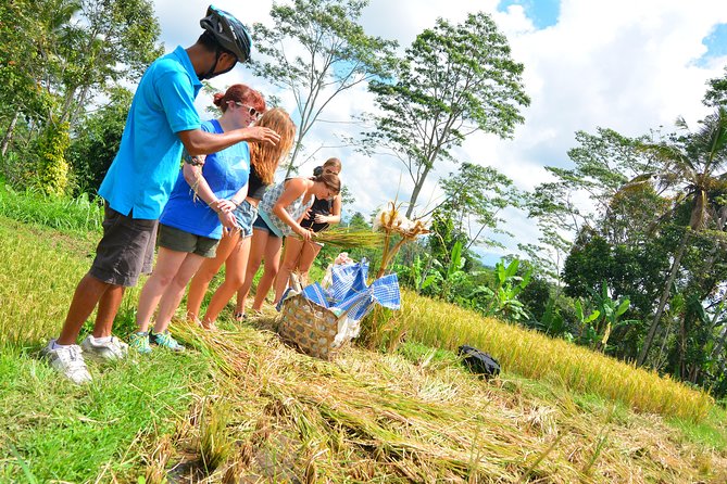 Bali Countryside Cycling Tours - Pakudui Village and Its Artistic Side