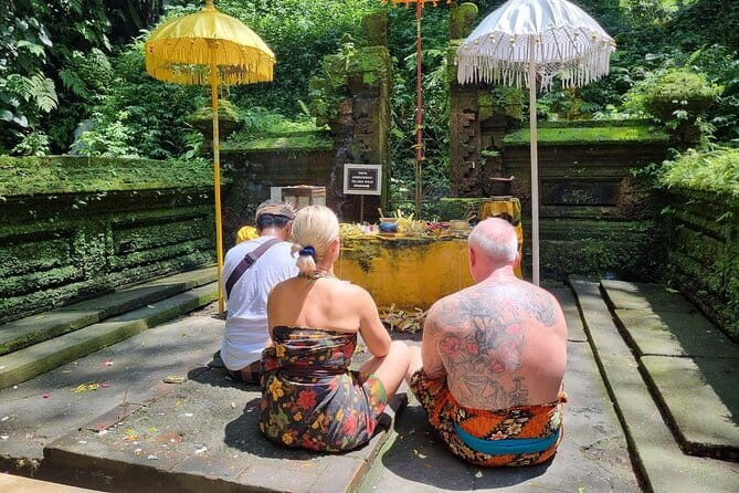 Bali Customizable Multi Language Tour with Driver-Guide - A private Bali day that you can shape